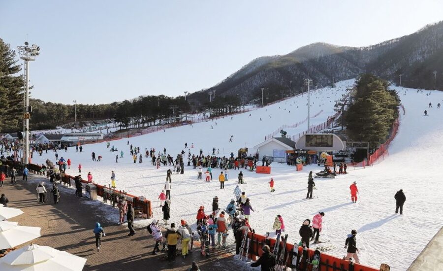 Seoul: Jisan Forest Winter Ski Day Tour with Basic Lesson - The 1-hour basic lesson: what it actually teaches you