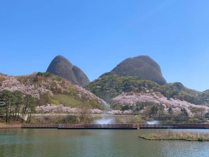 Seoul: Maisan Cherry Blossom and Jeonju Hanok Day Tour - A Full-Day Seoul Escape for Maisan Cherry Blossoms and Jeonju Hanok Streets