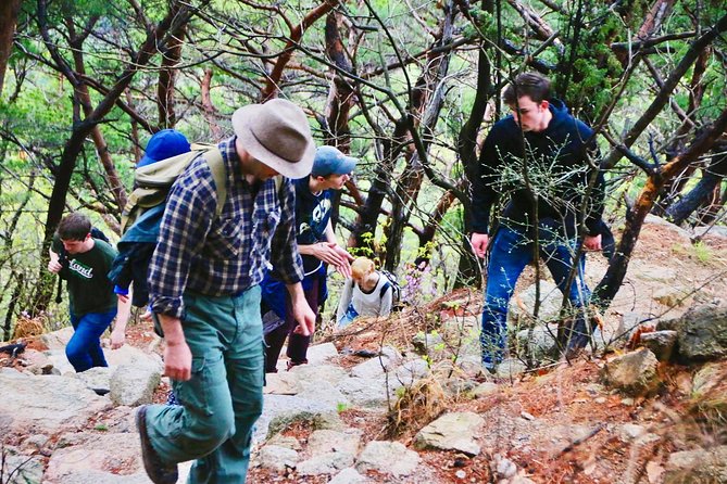 Seoul Mountain Hike: Temples, Folklore & Traditional Meal - Mountain Lunch and Included Drinks: Real Food for Hikers