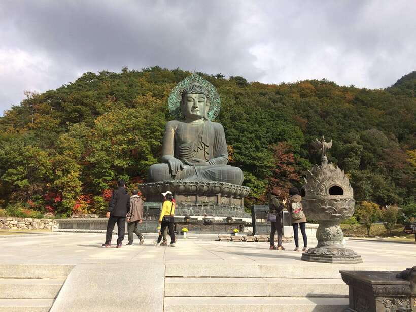Seoul: Mt.Seorak(+CableCar Option)+Sokcho Fish Market&Beach - Seoraksan National Park: temples, Buddha, and intermediate hiking reality