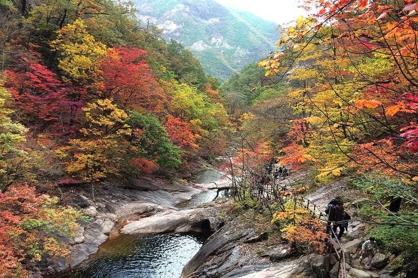 Seoul: Mt.Seorak(+CableCar Option)+Sokcho Fish Market&Beach - Sokcho Beach: short stop, big atmosphere