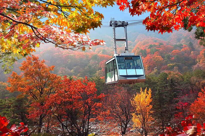 Seoul: Mt.Seorak(+CableCar Option)+Sokcho Fish Market&Beach - Value check: is $68 reasonable for Seoul + Seoraksan + Sokcho?
