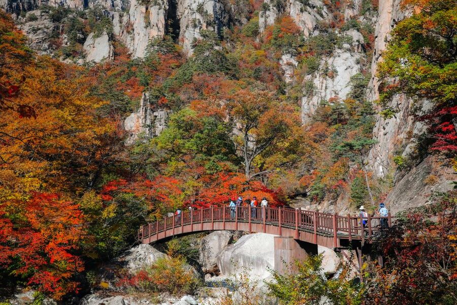 Seoul: Mt Seorak + Naksansa Temple or Nami Island Group Tour - Quick Highlights to Decide Fast