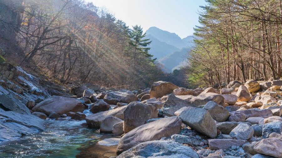 Seoul: Mt Seorak + Naksansa Temple or Nami Island Group Tour - Mt Seorak: The Seoul-to-Serious-Scenery Reset
