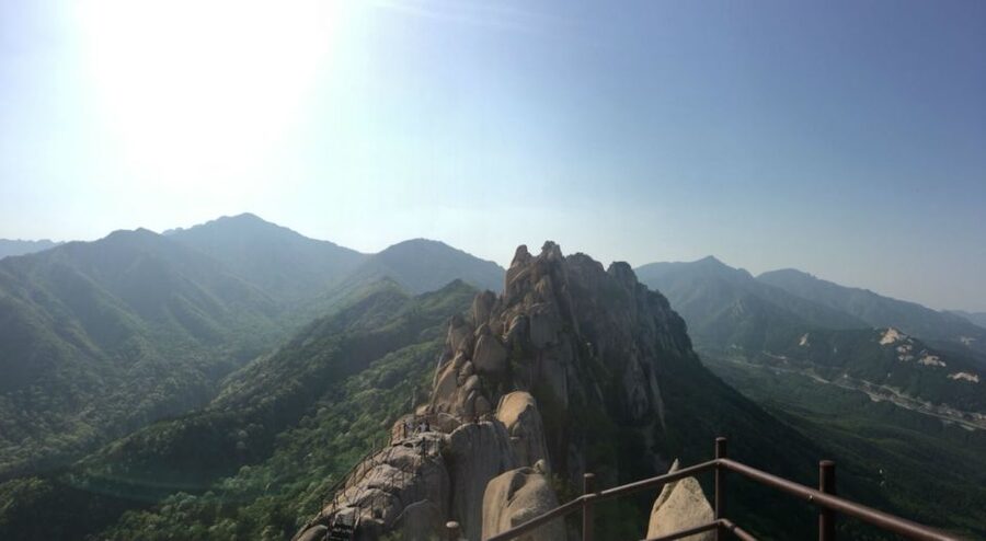Seoul: Mt Seorak + Naksansa Temple or Nami Island Group Tour - Nami Island: Film-Famous Forest Walks and Free-Roaming Wildlife