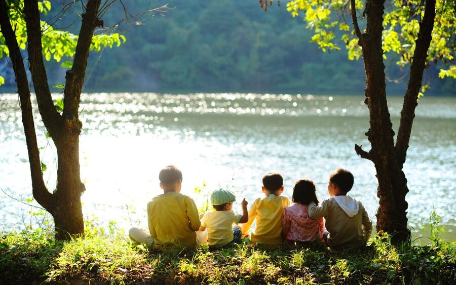 Seoul: Mt Seorak + Naksansa Temple or Nami Island Group Tour - Two Options, One Mountain: Nami Island vs Naksansa Temple