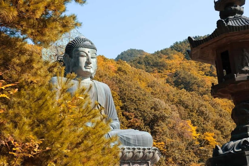 Seoul: Mt. Seoraksan National Park Autumn Foliage Day Tour - Key Points to Know Before You Go