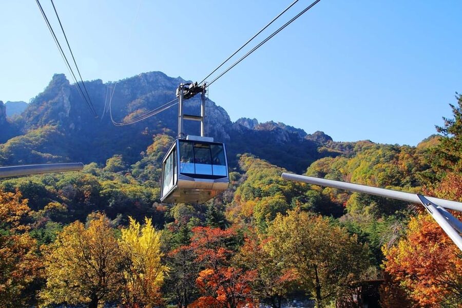 Seoul: Mt. Seoraksan National Park Autumn Foliage Day Tour - Price and Value: Does $60 Make Sense for Seoraksan?