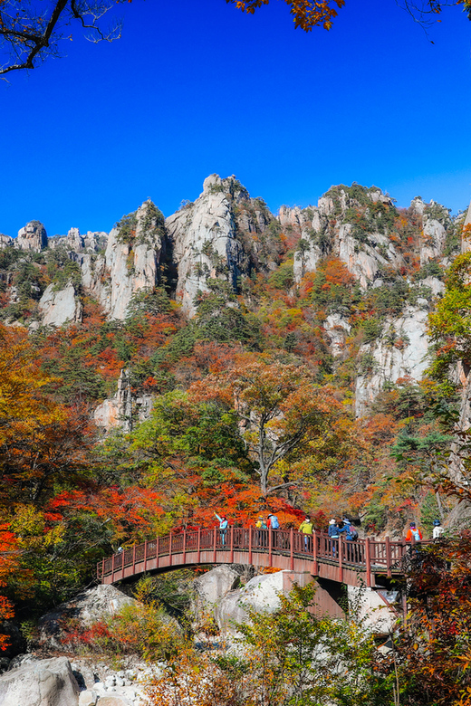 Seoul: Mt. Seoraksan National Park Autumn Foliage Day Tour - Your Park Time: Five Hours to Choose Your Own Trail Level
