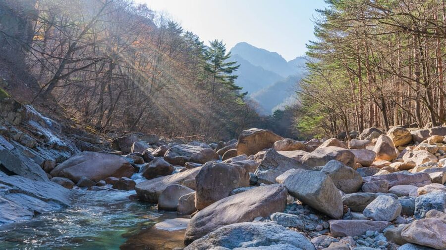 Seoul: Mt. Seoraksan National Park Autumn Foliage Day Tour - Ullsabwawi Steps, Easier Walks, and Photo Stops That Don’t Feel Rushed