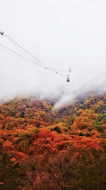 Seoul: Mt. Seoraksan National Park Autumn Foliage Day Tour - Staff and Language Help: English, Chinese, and Familiar Names