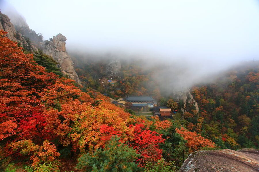 Seoul: Mt. Seoraksan National Park Autumn Foliage Day Tour - Group Timing Tips: Don’t Be the Person Who Holds Everyone Up
