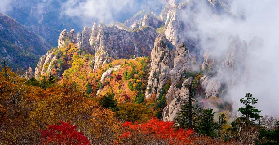 Seoul: Mt. Seoraksan National Park Autumn Foliage Day Tour - Getting There: Early Seoul Departure and the Real Timing