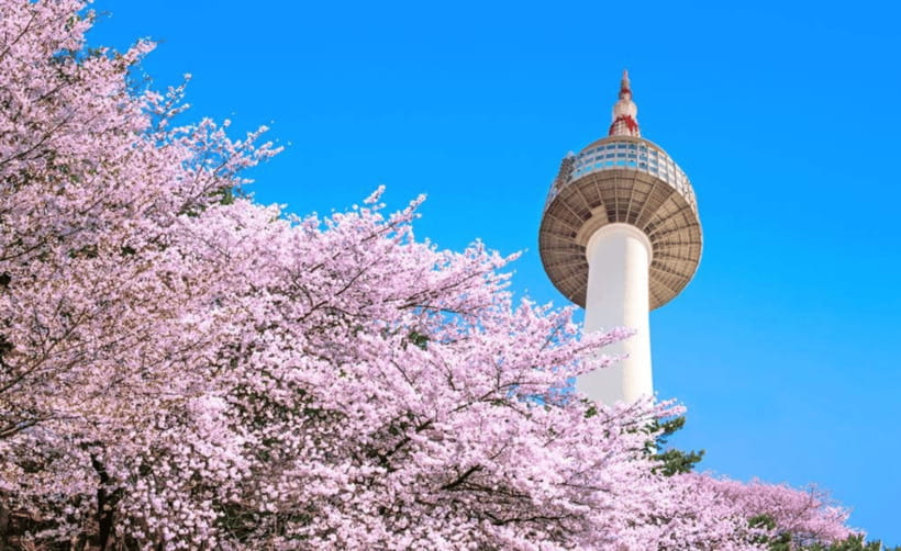 Seoul: N Seoul Tower Observatory Ticket - Getting to the tower: cable car, stairs, and walking trails