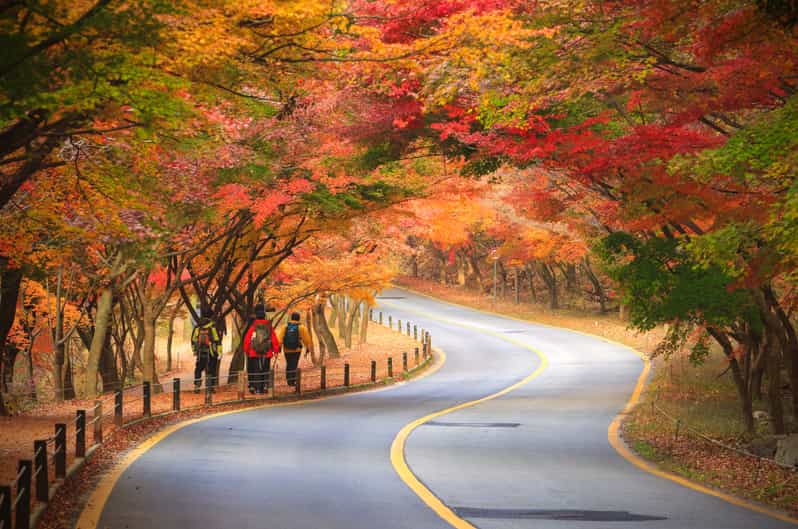 Seoul: Naejangsan National Park Autumn Foliage One Day Tour - Key highlights at a glance