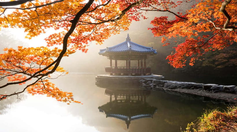 Seoul: Naejangsan National Park Autumn Foliage One Day Tour - Should you book this Naejangsan autumn foliage day trip?