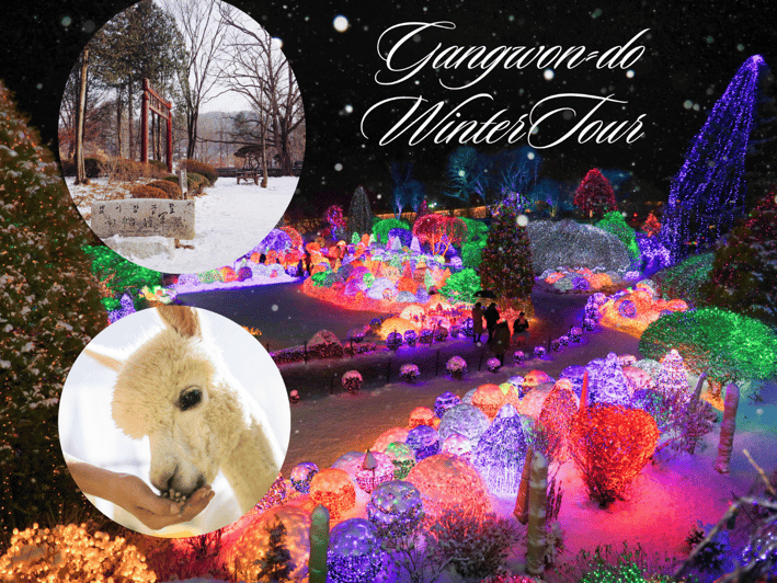 Seoul: Nami and K-Garden with Optional Alpaca Winter Tour - How this 10-hour route actually feels