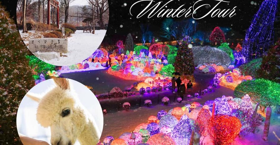 Seoul: Nami and K-Garden with Optional Alpaca Winter Tour - Eobi Valley and the frozen waterfall ice wall
