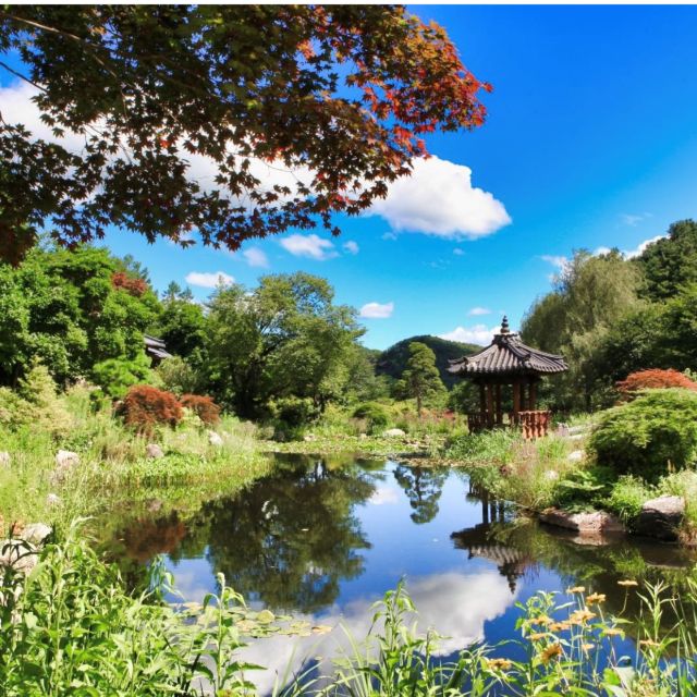 Seoul: Nami and Petite France Tour with Optional K-Garden - Italian Village after the switch: Pinocchio & Da Vinci themed wandering