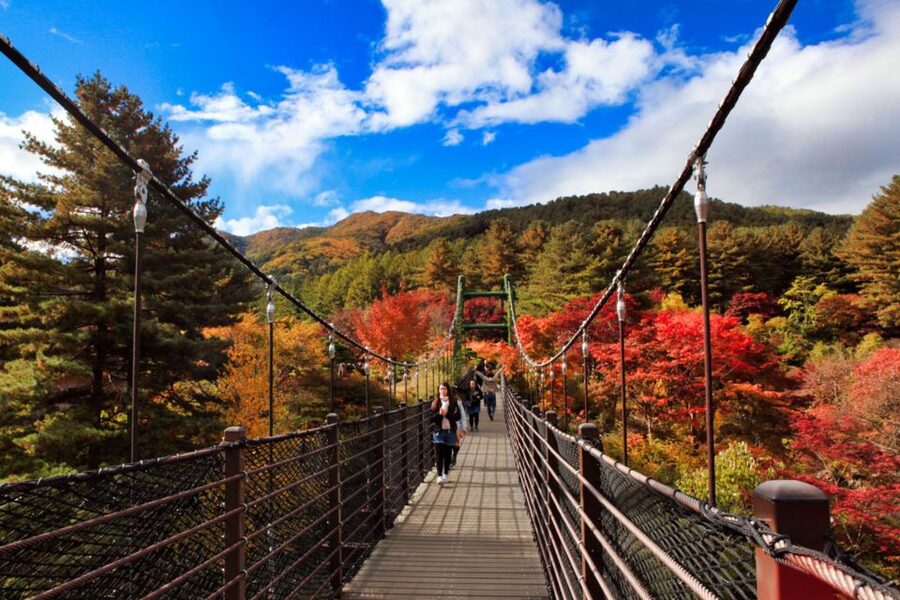 Seoul: Nami and Petite France Tour with Optional K-Garden - The optional Garden of Morning Calm (K-Garden): when it’s worth it