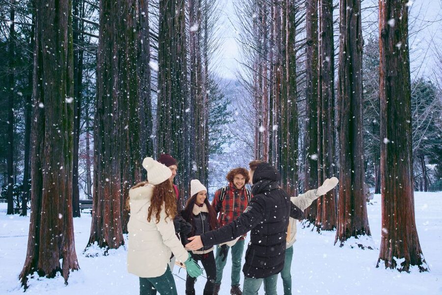 Seoul: Nami and Petite France Tour with Optional K-Garden - Guides, language, and group size: what to expect in real life