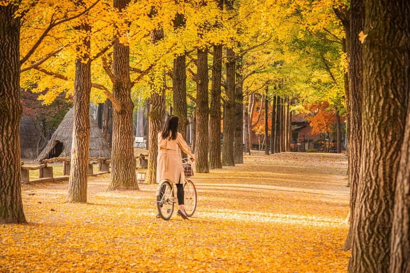 Seoul: Nami Island and Garden of Morning Calm opt Railbike - Why this day trip clicks: Nami Island plus Morning Calm