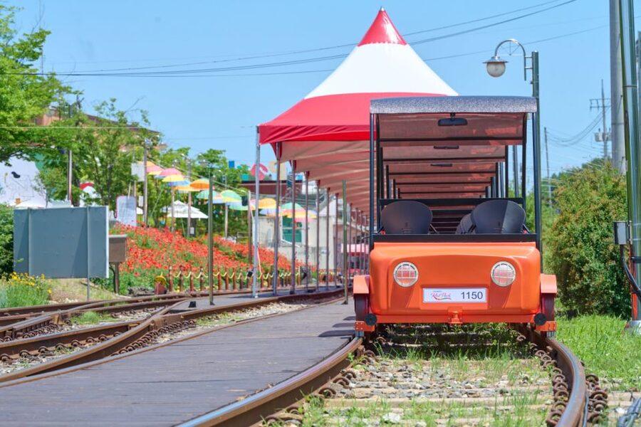 Seoul: Nami Island and Garden of Morning Calm opt Railbike - Price and value: why $51 can make sense for a full day outside Seoul