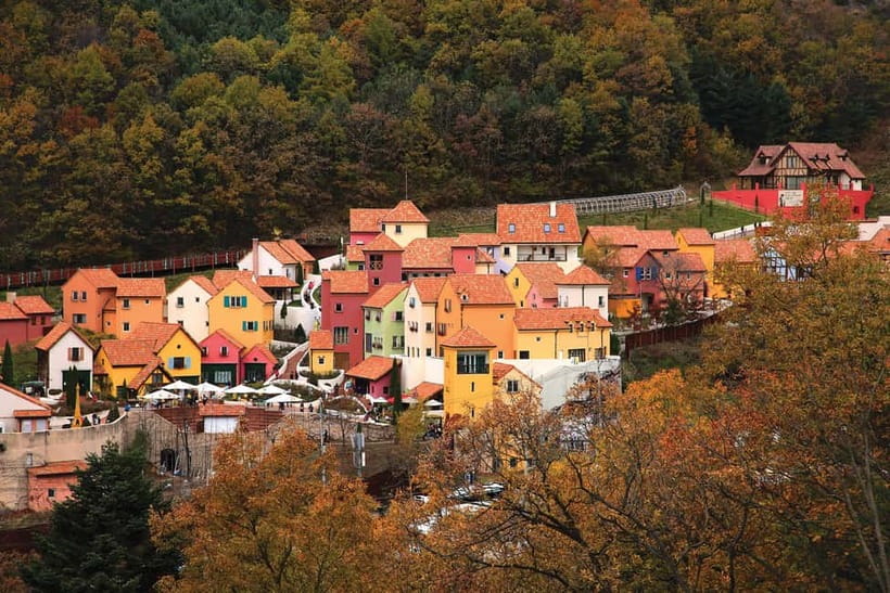Seoul: Nami Island, Garden and Petite France (opt. Railbike) - From Seoul by coach: the value of a hassle-free day trip