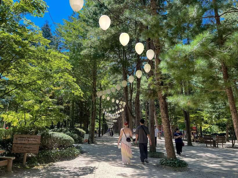 Seoul: Nami Island & Petite France Tour with Railbike Option - Quick hits before you go