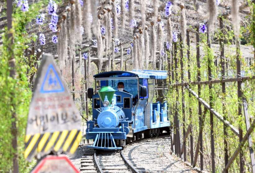 Seoul: Nami Island & Petite France Tour with Railbike Option - Should you book this Nami Island & Petite France rail bike tour?