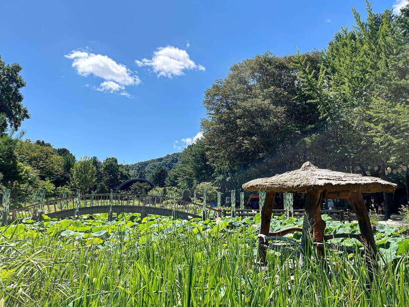 Seoul: Nami Island & Petite France Tour with Railbike Option - The route out of Seoul: how the day stays manageable