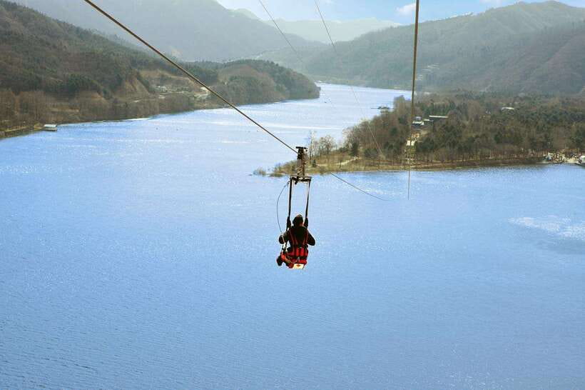 Seoul: Nami Island & Petite France Tour with Railbike Option - Value and logistics: is $59 a smart deal