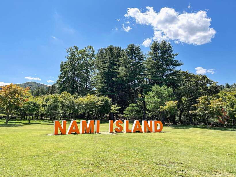 Seoul: Nami Island & Petite France Tour with Railbike Option - Who this tour fits best (and who might feel constrained)