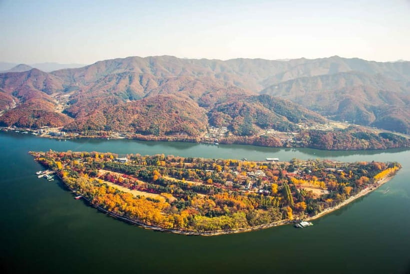 Seoul: Nami, Petite France, Morning Garden (+Healing Park) - Nami Island on foot: the tree-lined walk you’ll remember