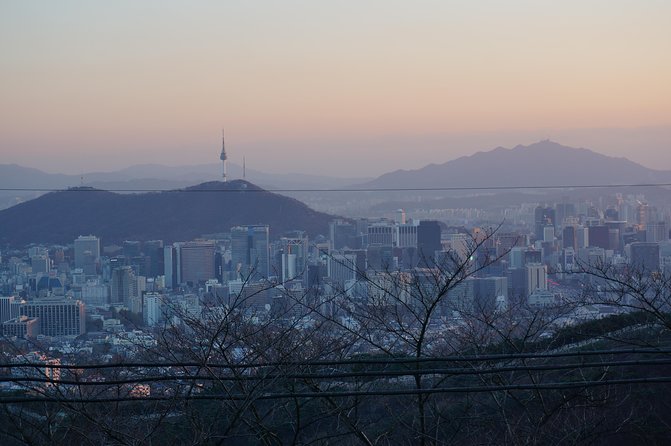 Seoul Night "Private Tour"(Korean BBQ, N-Tower, Seoul Fortress, Local Market) - Door-to-door Seoul at night: what “private” really changes