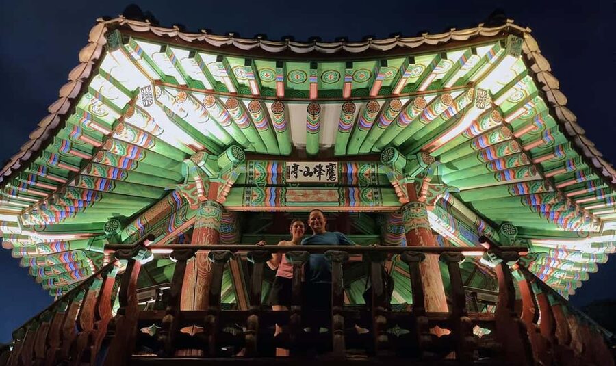 Seoul Night Tour: Naksan Park & Hidden Jems - Should You Book the Seoul Night Tour: Naksan Park and Eungbongsan?