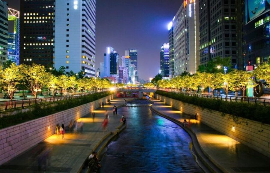 Seoul: Nighttime Tour of Palace, Market, Naksan Park & More - Gwangjang Market: Eat Like a Local, Shop Like You Mean It
