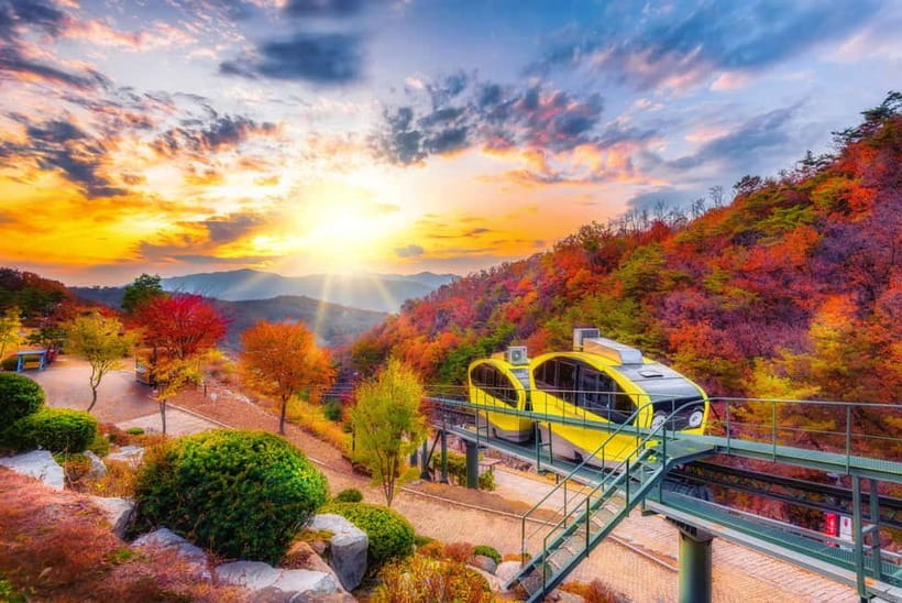 Seoul: Pocheon Art Valley, Garden and Fruit Picking Day Tour - A long but well-balanced day from Seoul