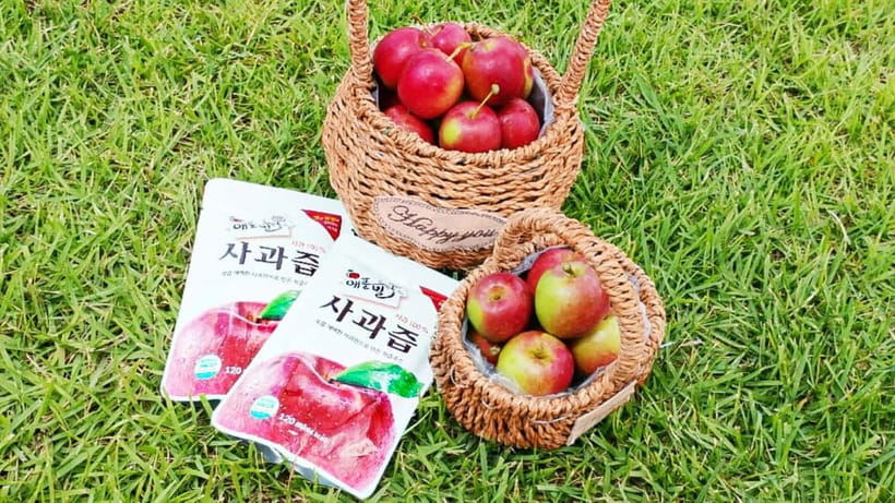 Seoul: Pocheon Art Valley, Garden and Fruit Picking Day Tour - Garden of Morning Calm: photos, festivals, and free time that actually helps