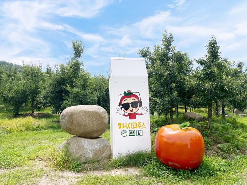 Seoul: Pocheon Art Valley, Garden and Fruit Picking Day Tour - Fruit picking and apple pie mode: what you’ll do depends on the season