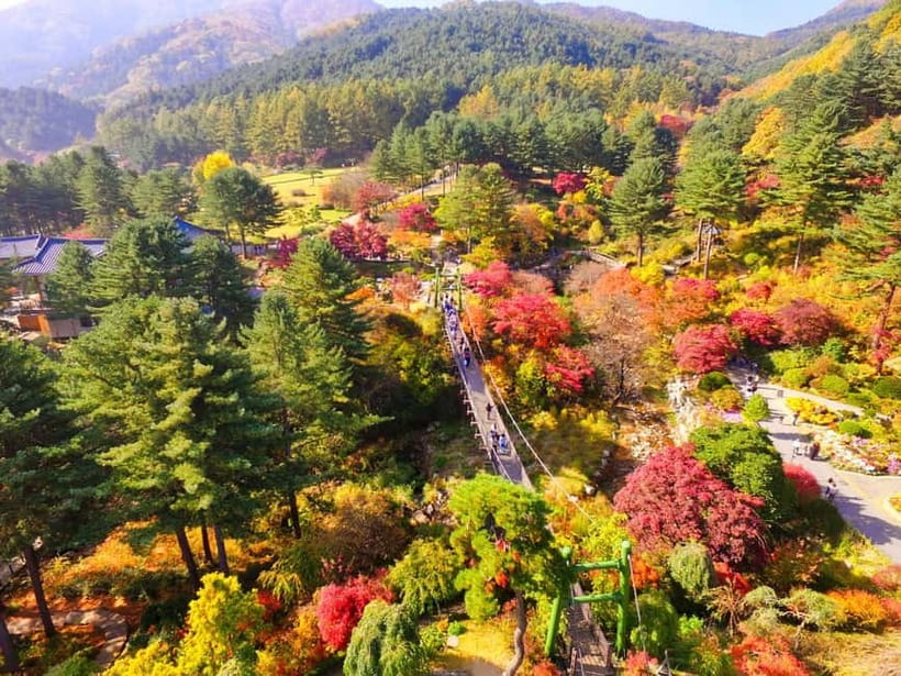 Seoul: Pocheon Art Valley, Garden and Fruit Picking Day Tour - Pocheon Art Valley: the quarry-to-lake transformation (and the monorail views)