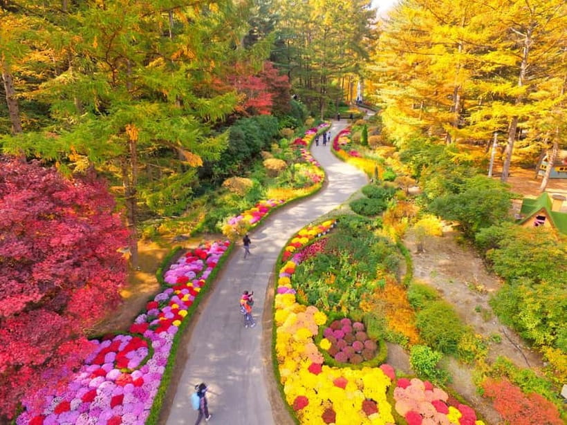 Seoul: Pocheon Art Valley, Garden and Fruit Picking Day Tour - Who should book this tour