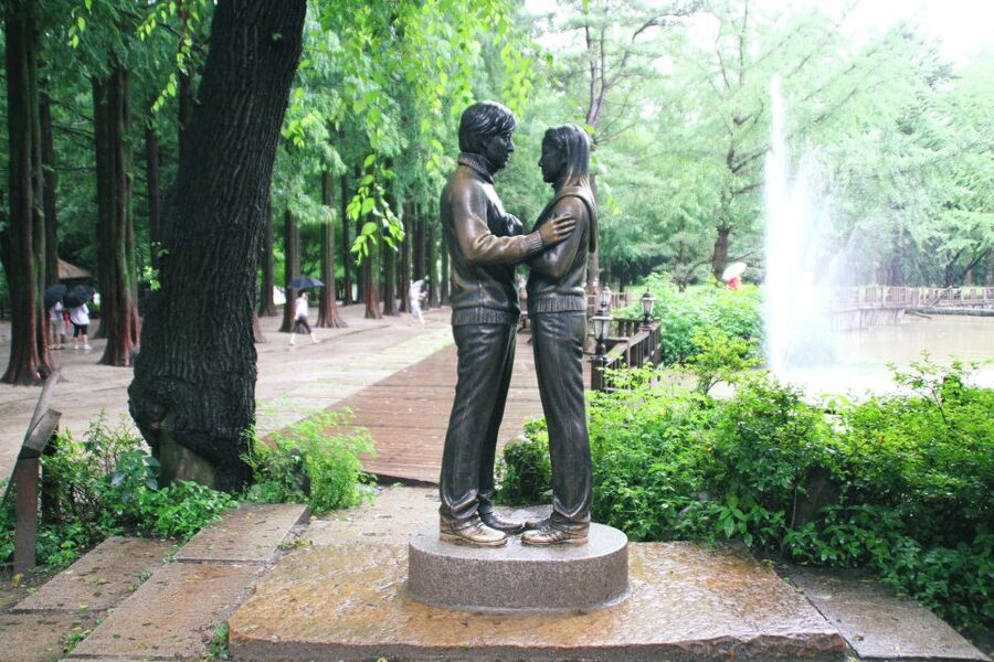 Seoul: Private Customizable Tour to Nami Island and More - Nami Island: your free time for seasons, drama-set photos, and slow strolling