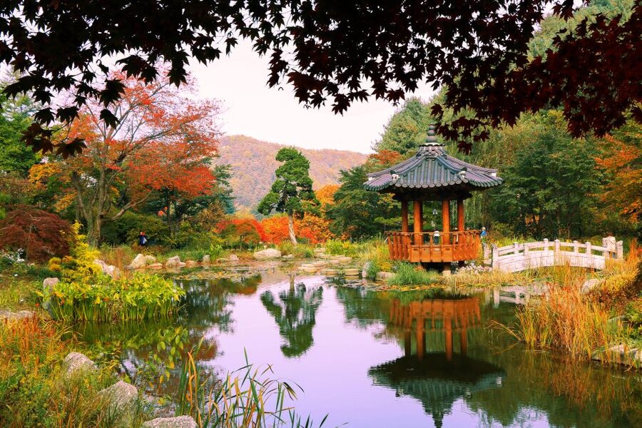 Seoul: Private Customizable Tour to Nami Island and More - How the private vehicle and English support makes the day easier