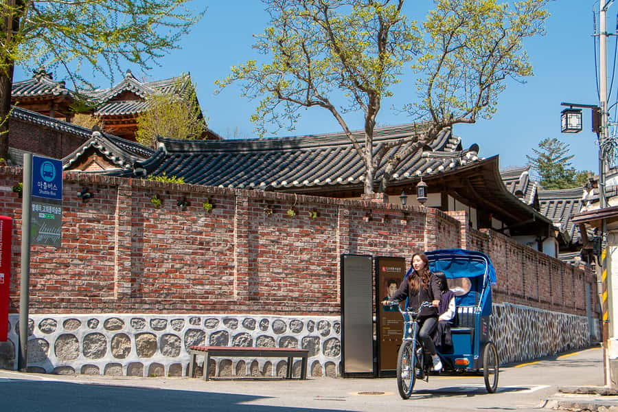 Seoul Private Pedicab Tour : Bukchon Anguk Hanok Village - Group size and why “private” changes the value