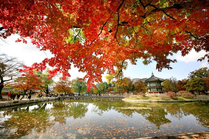 Seoul Private Tour Gyeongbok Palace Bukchon and Gwangjang Market - Cheongha Korea Ginseng Museum: A Quick Health Story