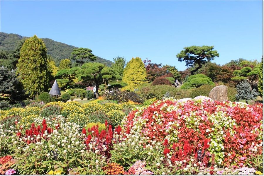 Seoul: Private Tour to Nami Island, Garden, Petite France - Price and value: what $200 per person really covers