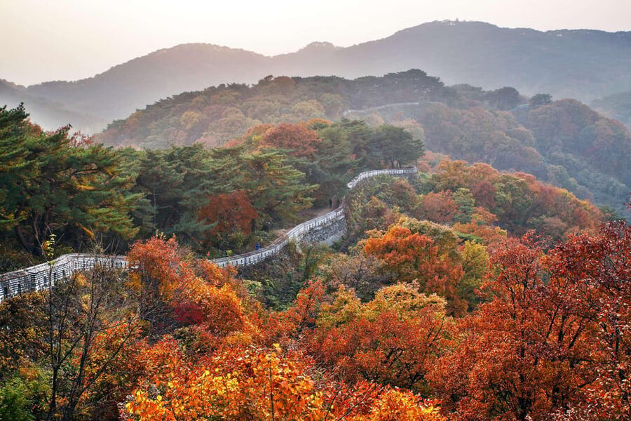 Seoul: Royal Tomb of King Sejong & Icheon Ceramic (EG Tour) - Price and value: does $65 make sense for what you get?