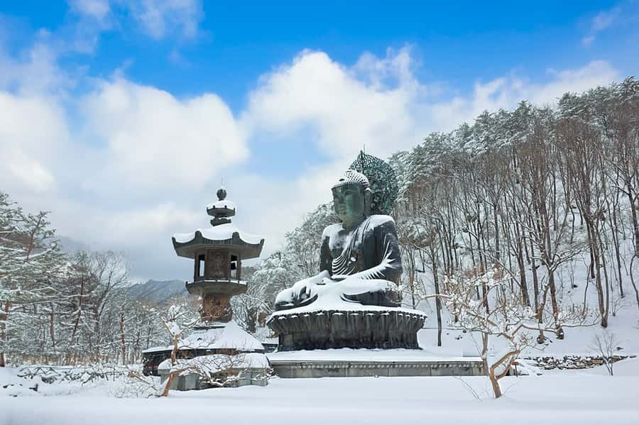 Seoul: Seorak Mountain+Nami Island+Eobi Ice Valley Tour - Key Things I’d Target on This Seoul Winter Day Trip
