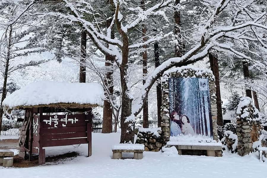 Seoul: Seorak Mountain+Nami Island+Eobi Ice Valley Tour - Final Call: Should You Book This Seorak + Nami + Eobi Day Trip?